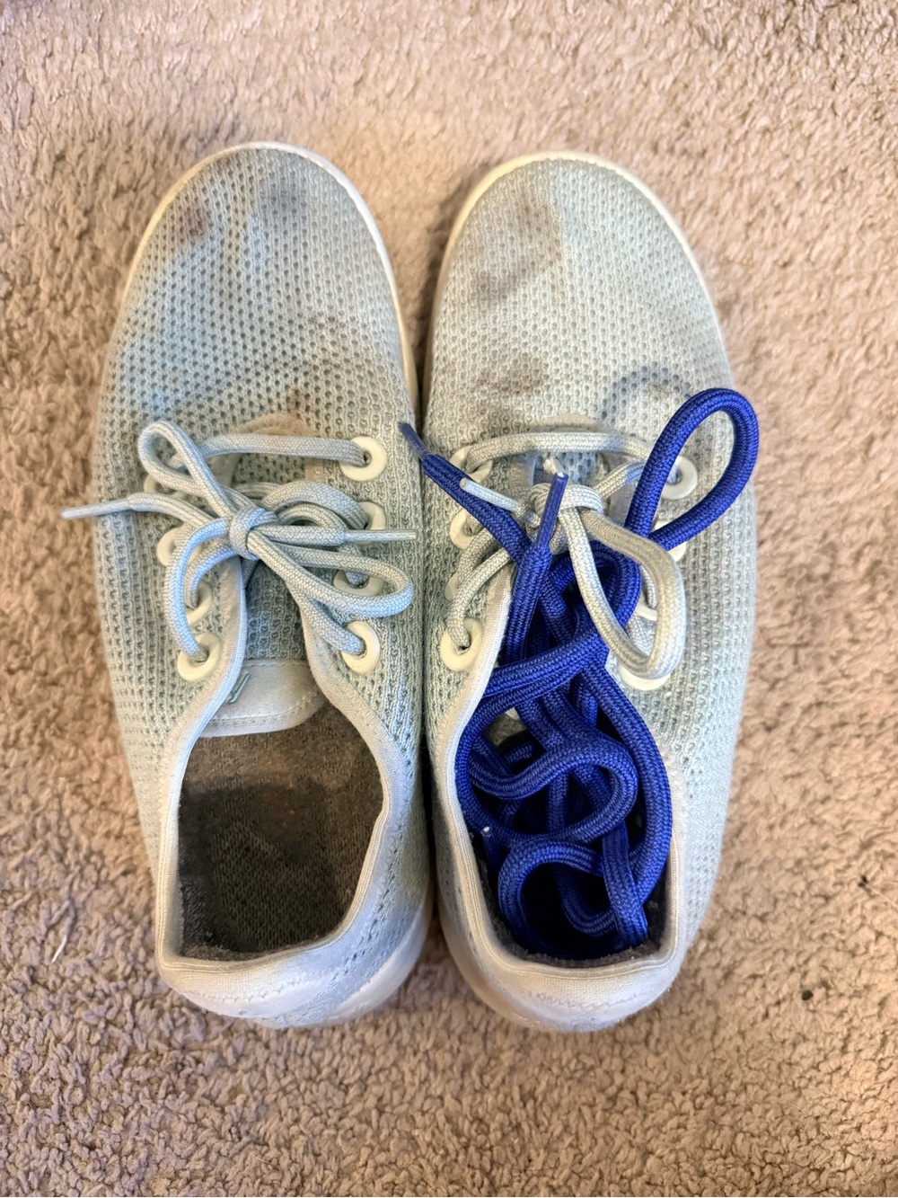 Allbirds Lightweight Knit Sneakers in Light Blue with Blue Laces